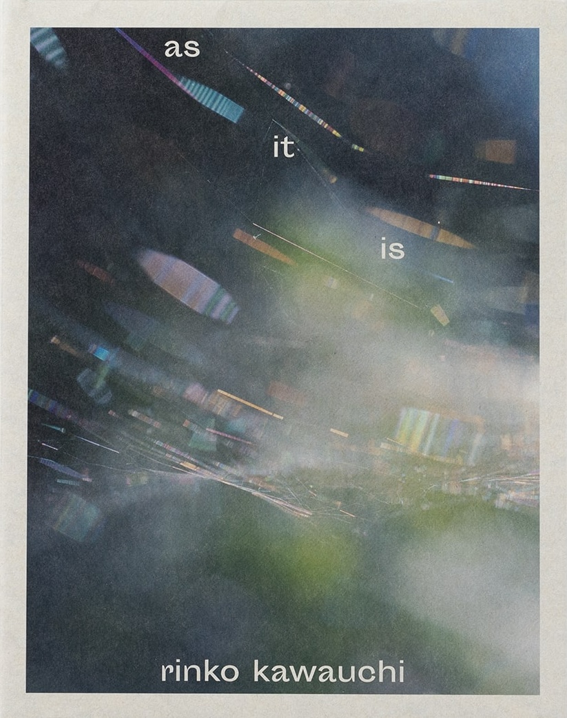 as it is (Softcover)