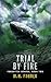 Trial By Fire (Forgotten Heroes Book 2)