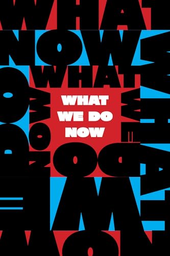 What We Do Now: Standing up for Democracy in America (Paperback)