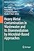 Heavy Metal Contamination i...
