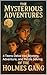 The Mysterious Adventures O...