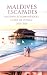 MALDIVES ESCAPADES HIVERNALES ROMANTIQUES GUIDE DE VOYAGE 202... by Kenneth Clopton