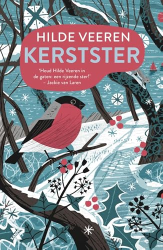Kerstster (Cottage aan zee Book 4)