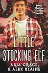 Little Stocking Elf: M/M Daddy Kink Christmas Romance