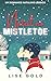 Natal no Mistletoe (Portuguese Edition)
