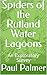 Spiders of the Rutland Water Lagoons by Paul Palmer