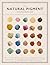 The Natural Pigment Handbook: A Maker’s Guide to the Art, Stories and Recipes for Creating Paint