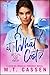 At What Cost?: Life and Love: A Lesbian Medical Romance Series