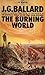 The Burning World