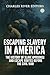 Escaping Slavery in America: The History of Slave Uprisings and Escape Routes Before the Civil War