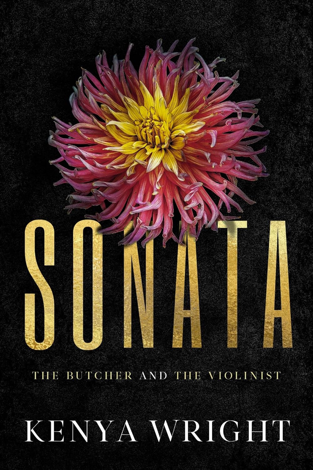Sonata (The Butcher and the Violinist #2)