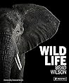 Wild Life by Brad Wilson