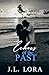 Echoes of the Past by J L Lora
