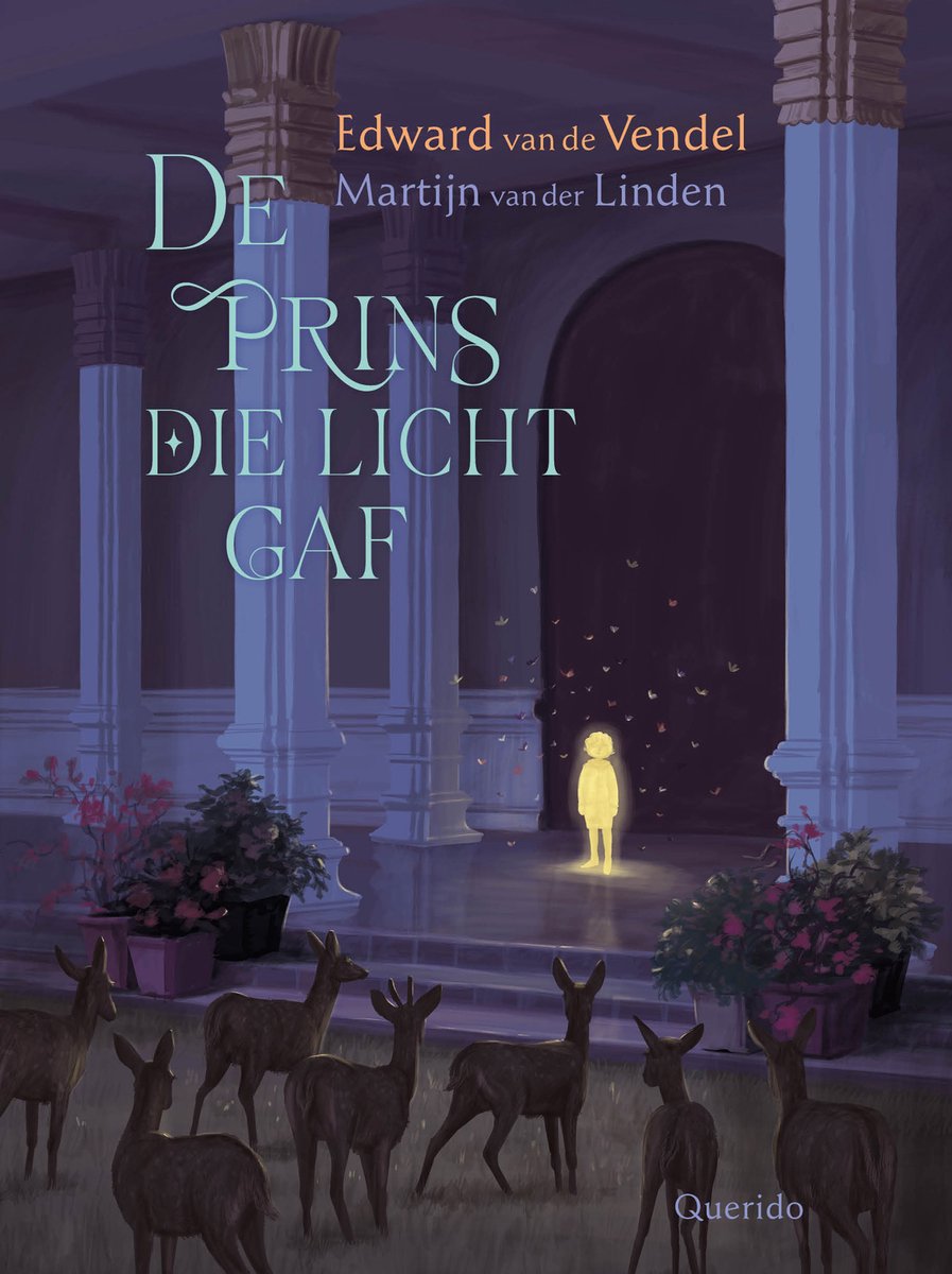 De prins die licht gaf (Hardcover)