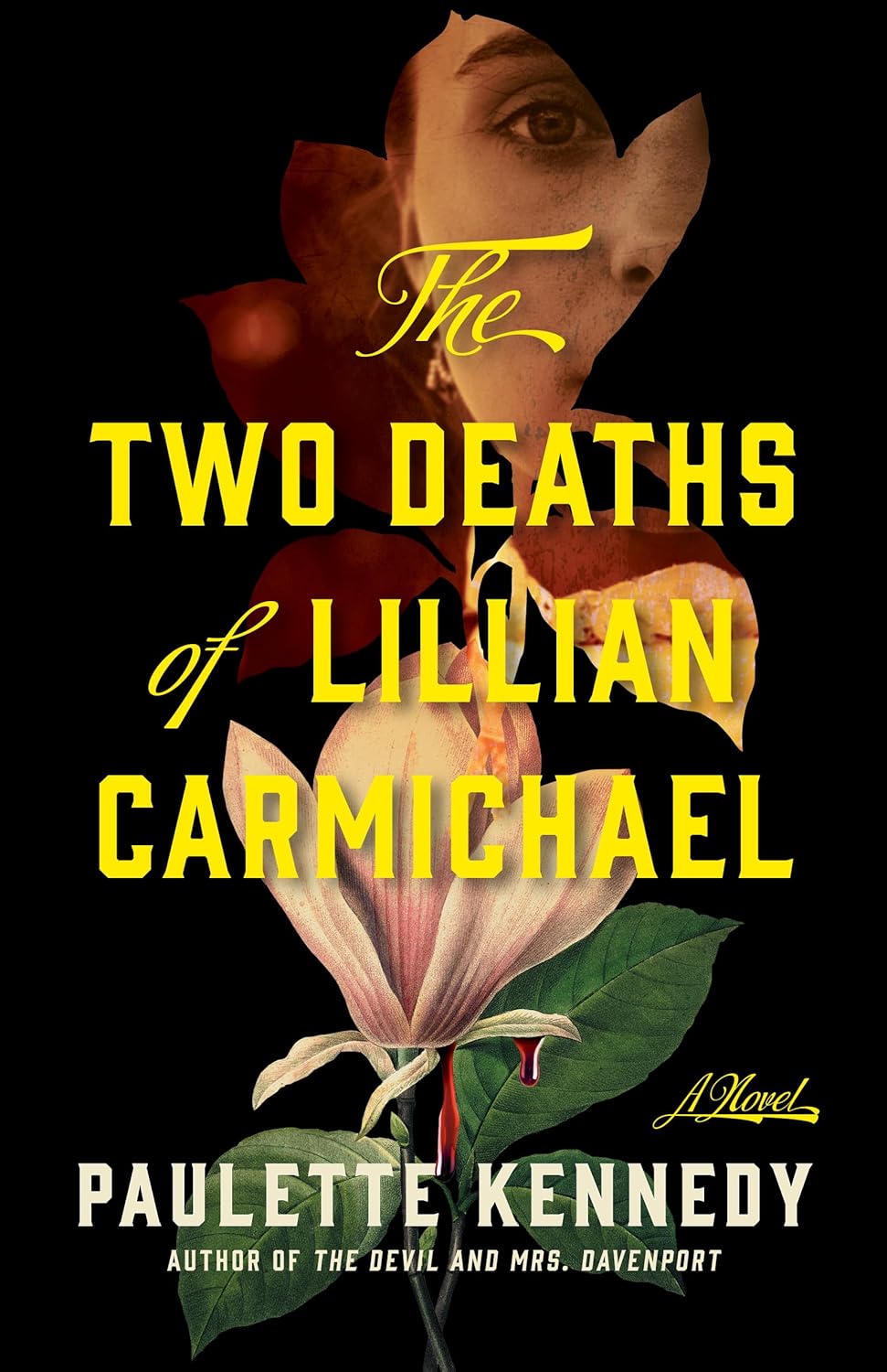 The Two Deaths of Lillian Carmichael: A Novel (Kindle Edition)