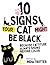 10 Signs Your Cat Might Be ...