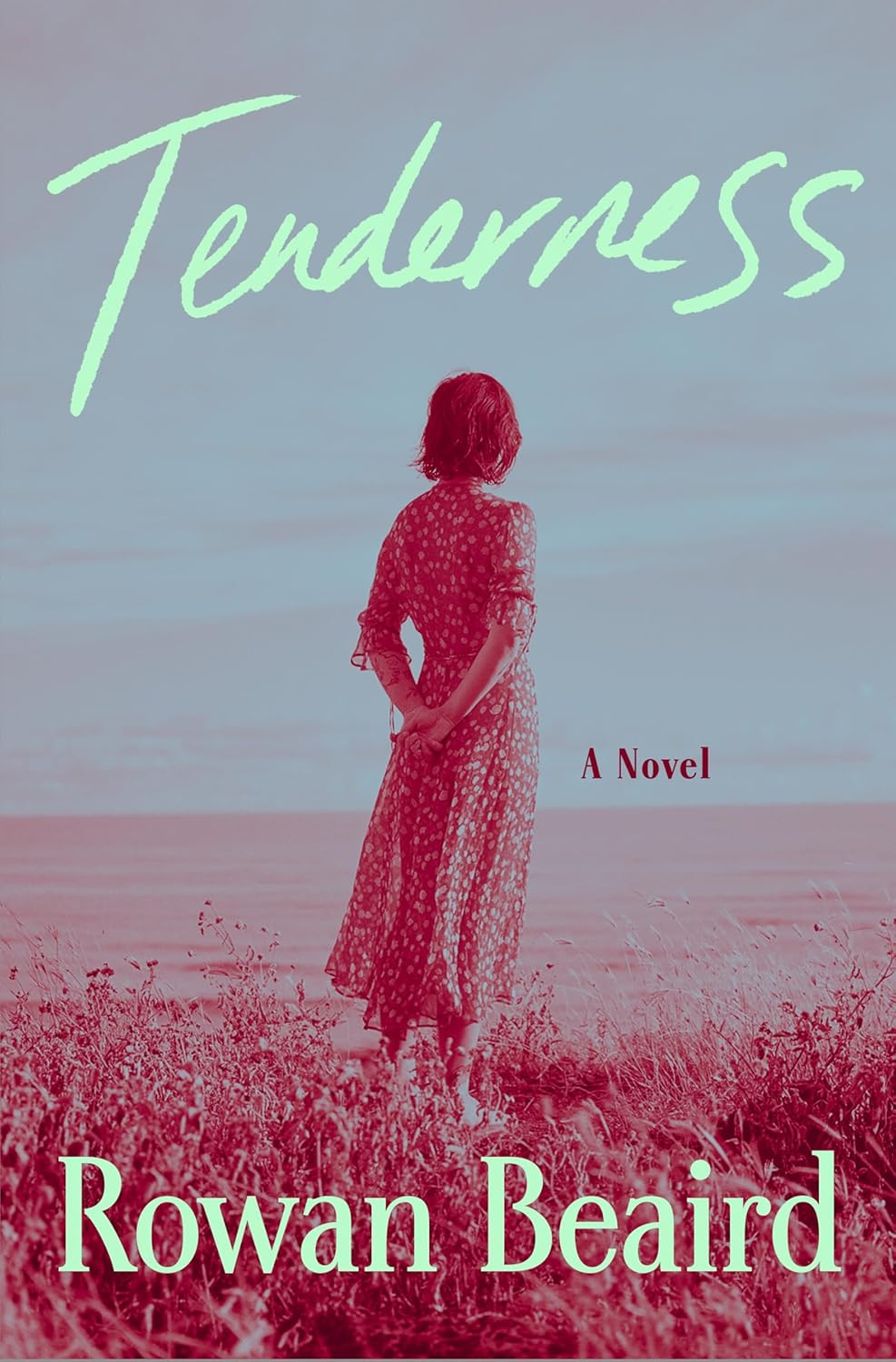 Tenderness (Hardcover)