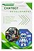 Chatbot Development: Design...