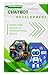 Chatbot Development: Design...