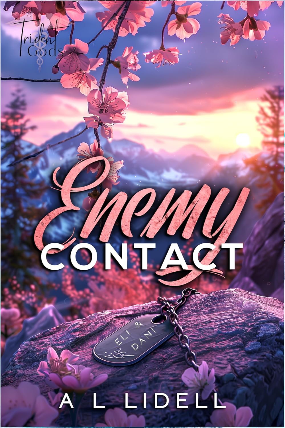 Enemy Contact (Trident Rescue #2)