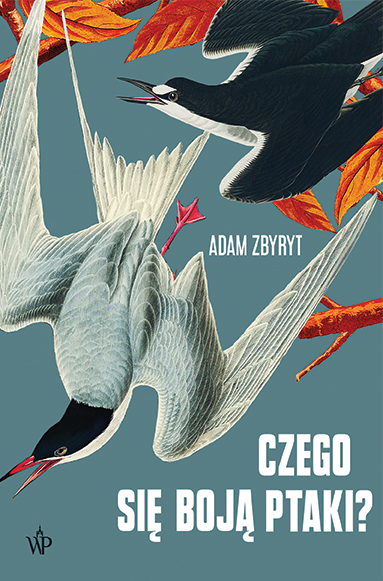 Czego się boją ptaki? (Paperback)
