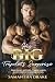 His Big, Triplets Secret by Samantha Drake