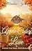 Apple Cider Love (Amberwood Falls #1)