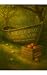 The Old Boat in the Orchard...