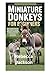 MINIATURE DONKEYS FOR BEGIN...