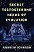 Secret Testosterone Nexus of Evolution by Andrew Johnson