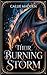 Their Burning Storm (Four F...