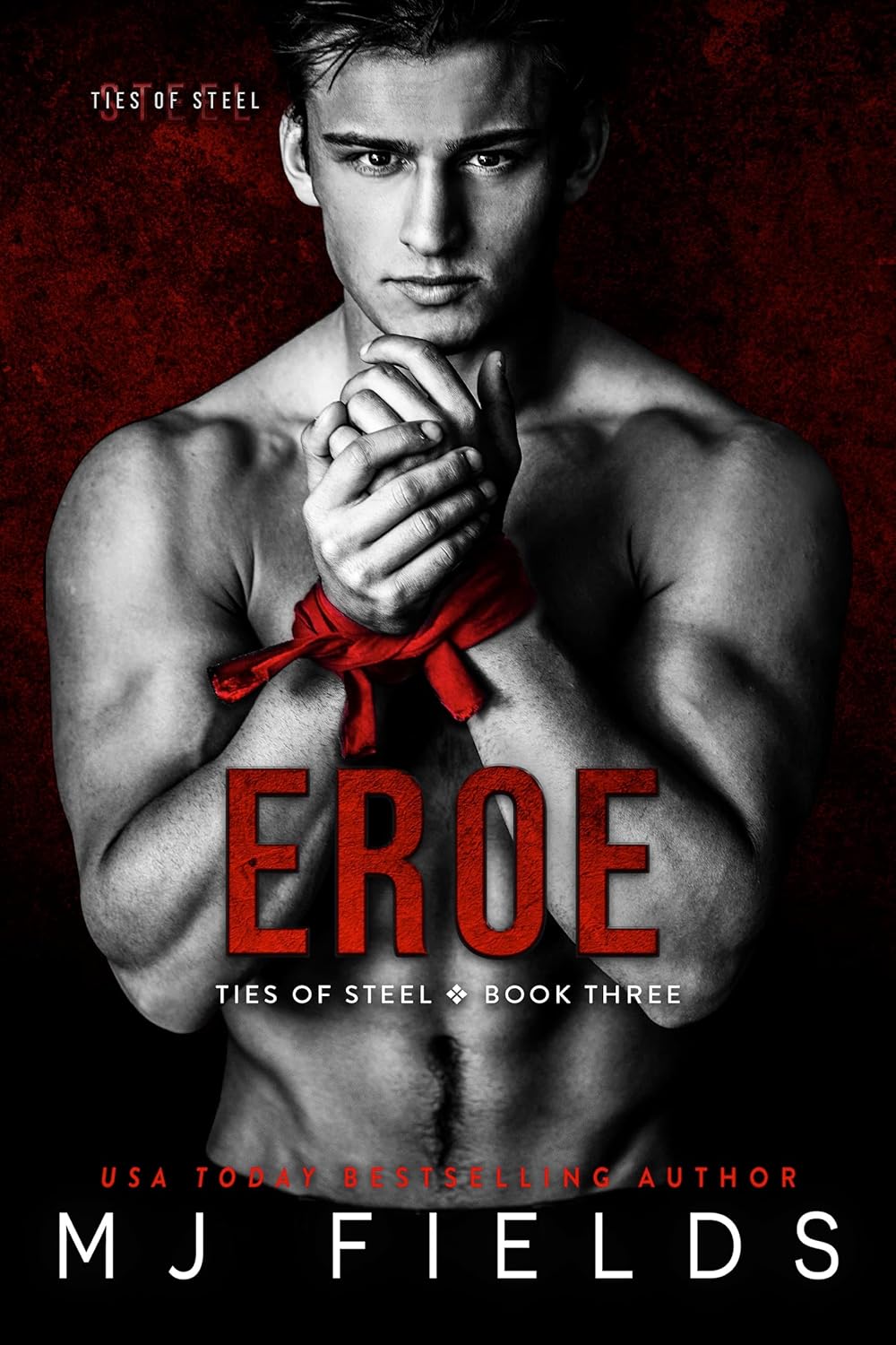 Eroe (Ties of Steel #3)