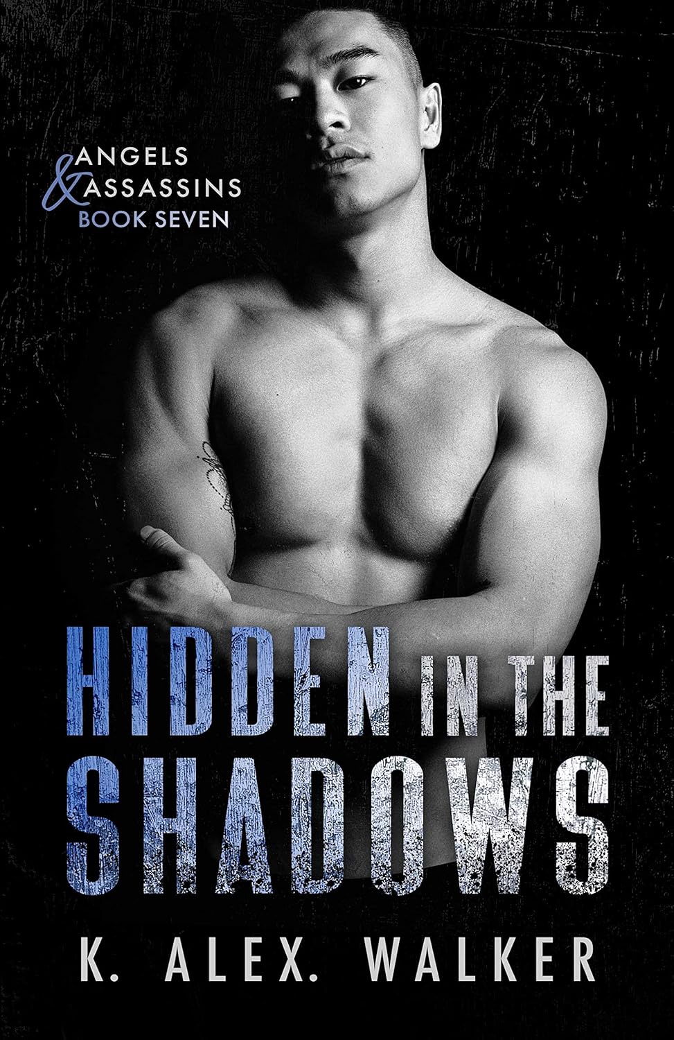 Hidden In The Shadows (Angels and Assassins #7)