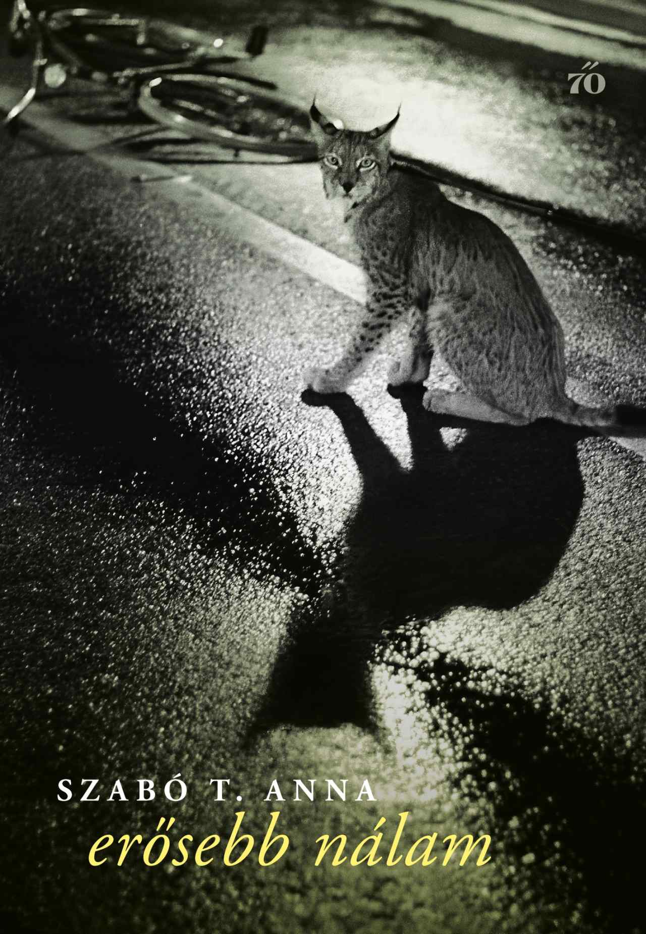 Erősebb nálam (Hardcover)