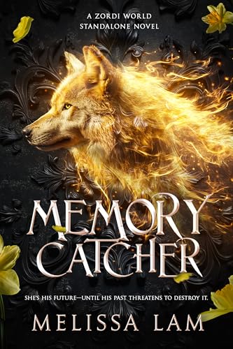 Memory Catcher : A Zordi World Standalone Novel (Kindle Edition)