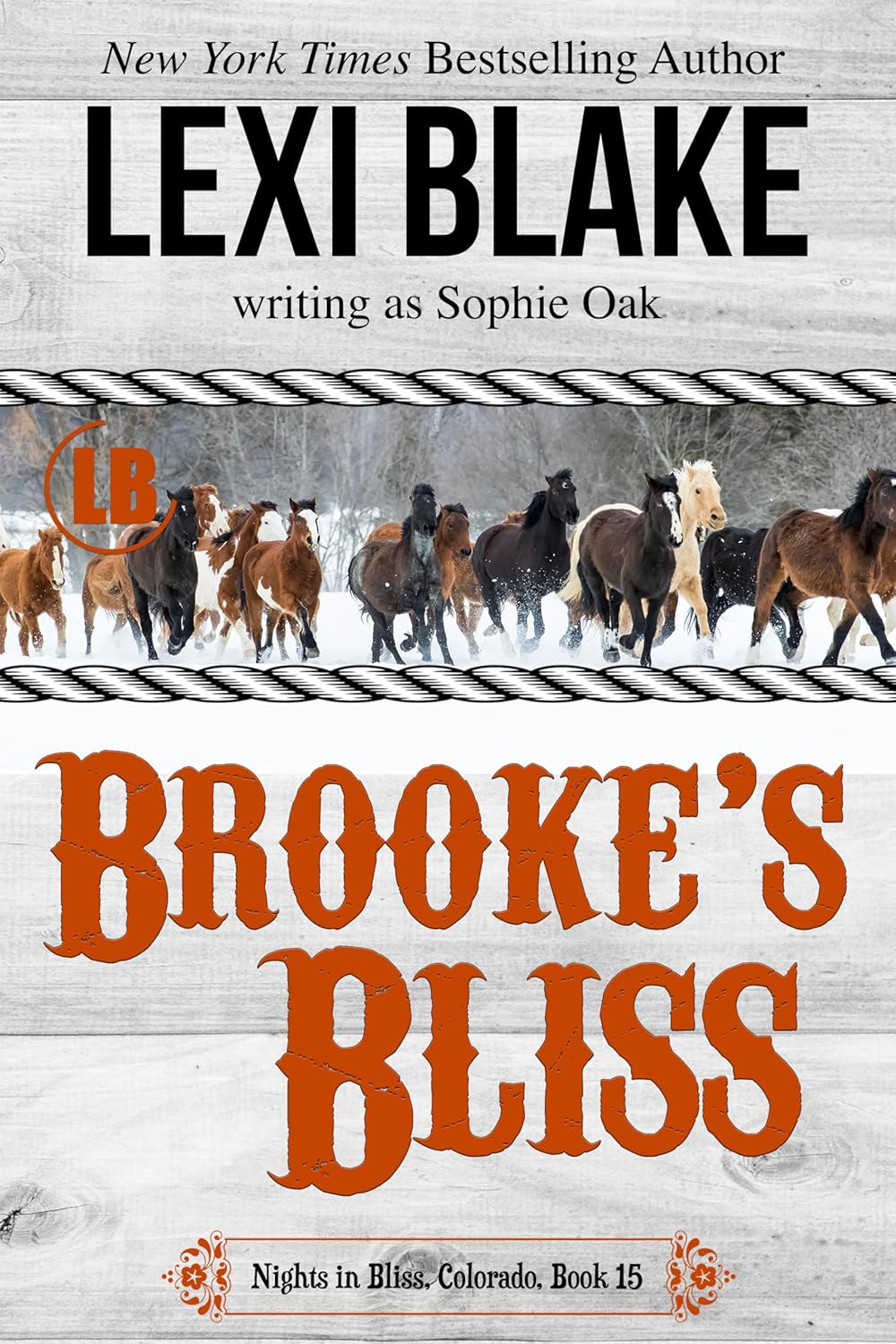 Brooke’s Bliss (Nights in Bliss, Colorado #15)