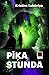 Pīķa stunda