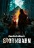 Stormbarn