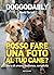 Posso fare una foto al tuo cane?: Storie di amore, resilienza, complicità