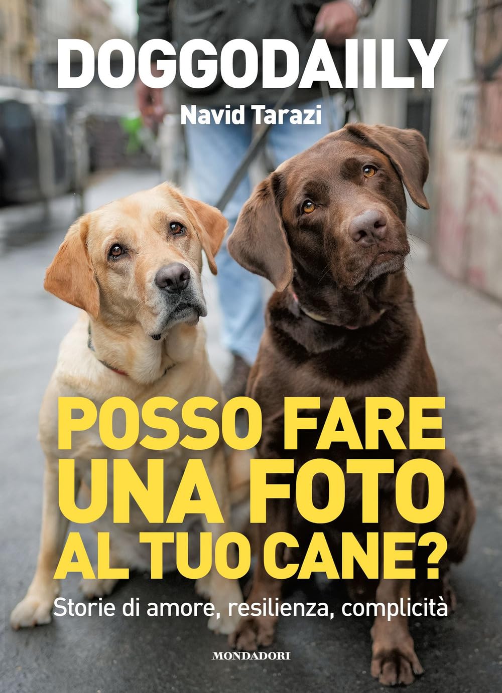 Posso fare una foto al tuo cane?: Storie di amore, resilienza, complicità