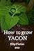How to grow Yacon