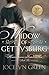 Widow of Gettysburg: 10th Anniversary Edition (Heroines Behind the Lines Civil War)