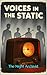 Voices in the Static