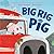 Big Rig Pig