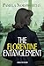 The Florentine Entanglement by Pamela Norsworthy The Florentine Entanglement by Pamela Norsworthy