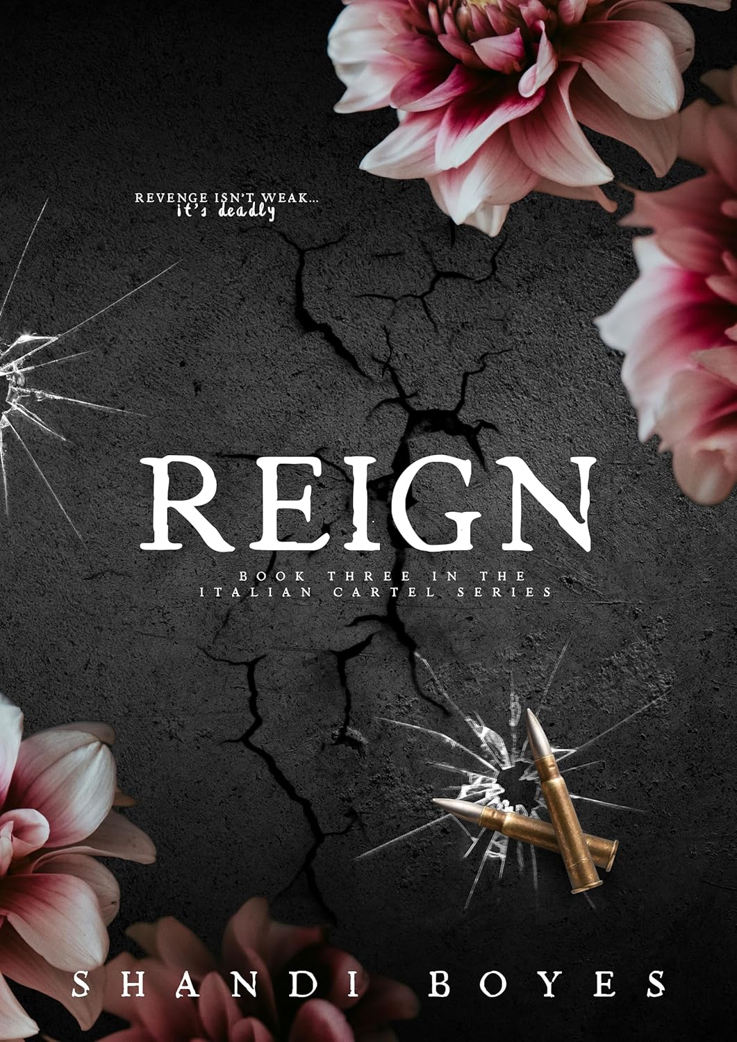 Reign (The Italian Cartel #3)
