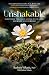 Unshakable: Parenting throu...