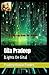 Gita Pradeep: