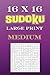 16 x 16 Medium Sudoku Puzzl...