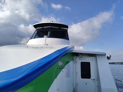 Constanz, Constanze und eine andere Geschichte: Was geschah am Bodensee? (German Edition)